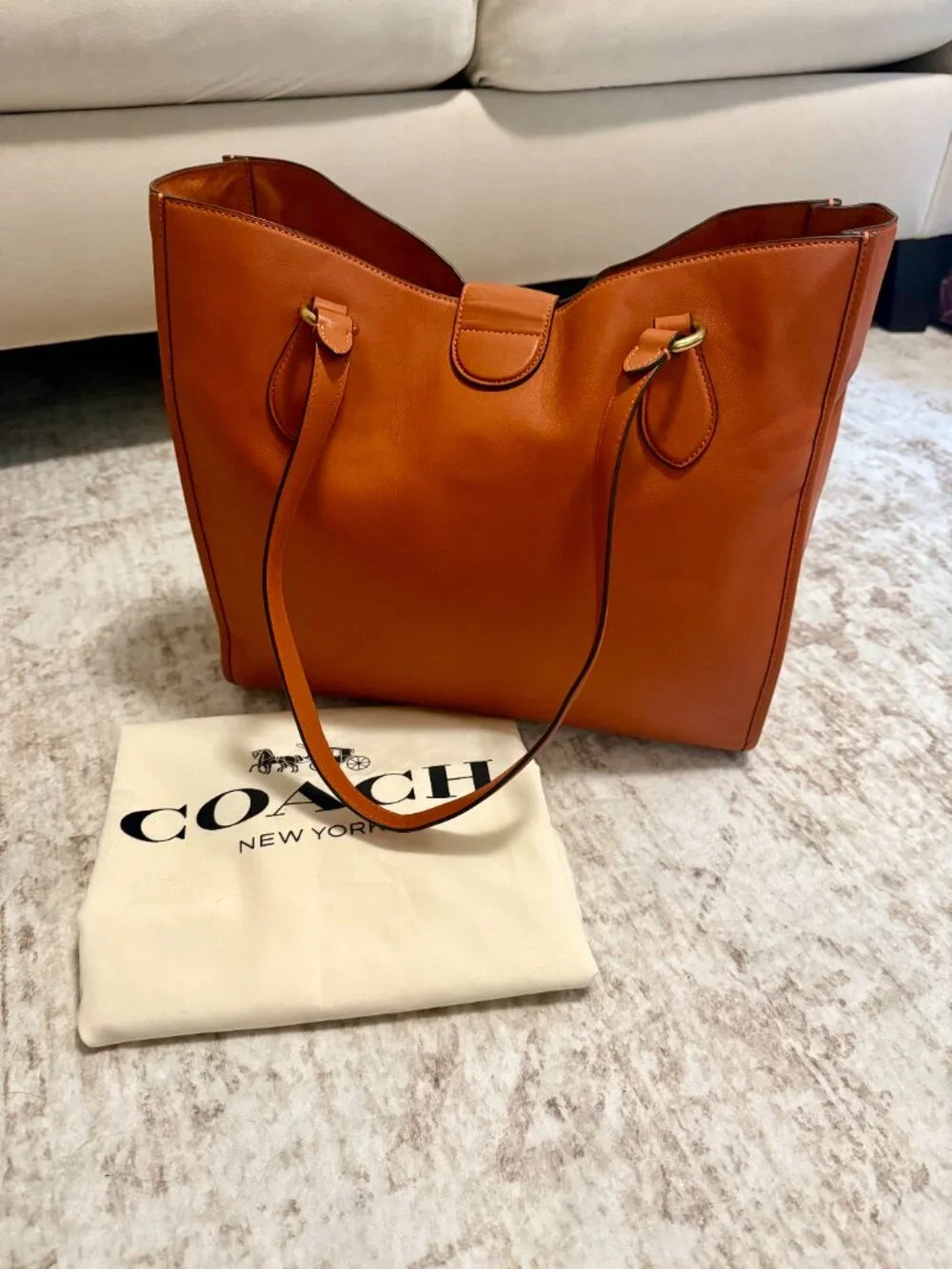 Coach Theo Tote in Canyon